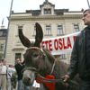 Osel je v cíli