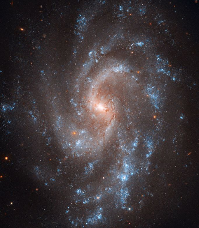 The brilliant, blue glow of young stars trace the graceful spiral arms of galaxy NGC 5584 in this Hubble Space Telescope image. Thin, dark dust lanes appear to be flowing from the yellowish core, where older stars reside. The reddish dots sprinkled throughout the image are largely background galaxies. Credit: NASA, ESA, A. Riess (STScI/JHU), L. Macri (Texas A University), and Hubble Heritage Team (STScI/AURA)