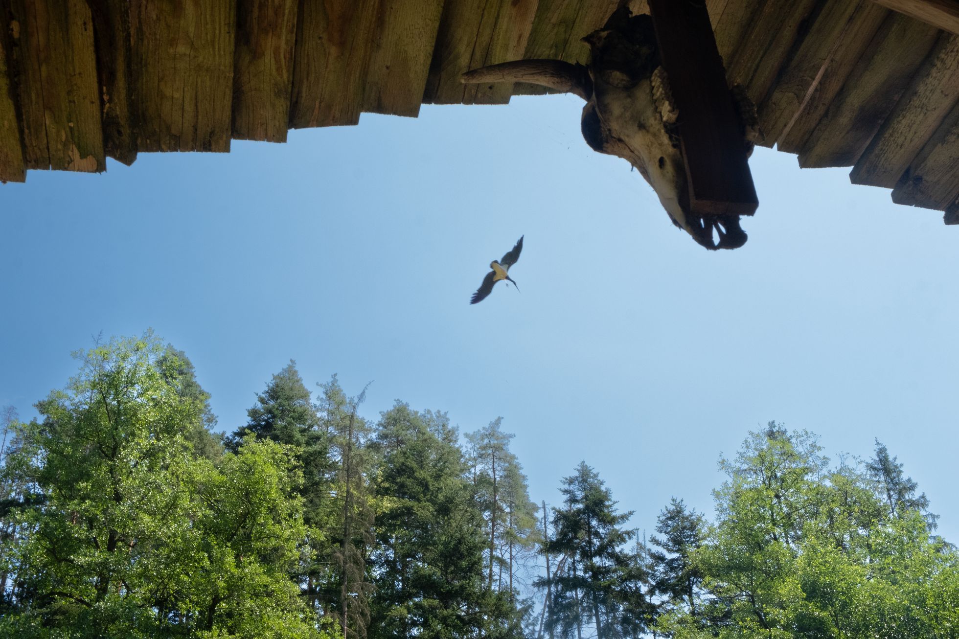 Údolí řeky Bobrovky