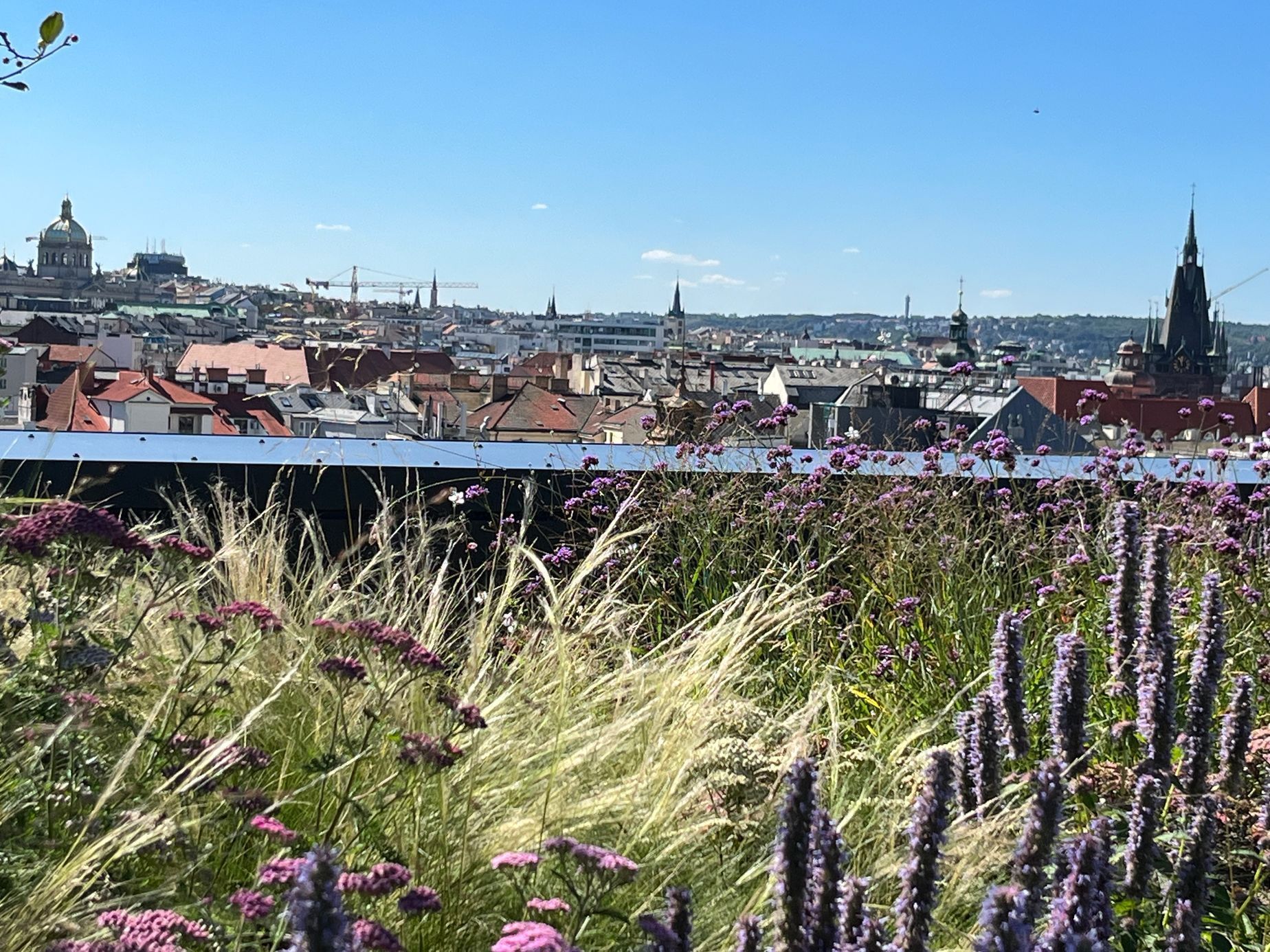 Masaryčka - Penta Real Estate