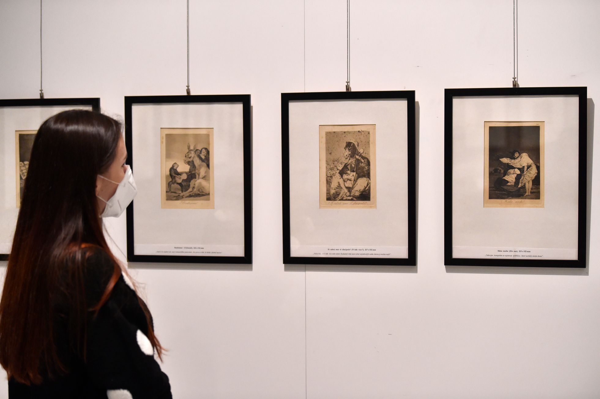 Francisco Goya: Caprichos (Rozmary)