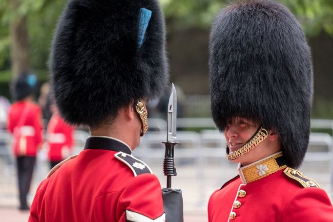 Kultovní čepice z pravé medvědí srsti, které nosí členové britské královské gardy střežící Buckinghamský palác v Londýně, jsou čím dál dražší.