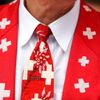 Euro 2016, Švýcarsko-Albánie: švýcarský fanoušek