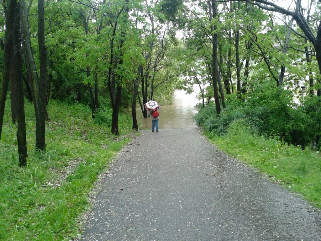 Povodně 3. června 2013, Braník