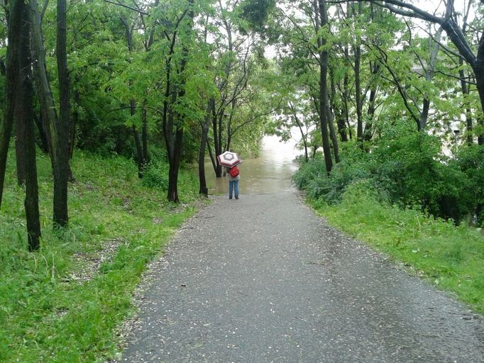 Tudy cesta nevede. (Praha-Braník)