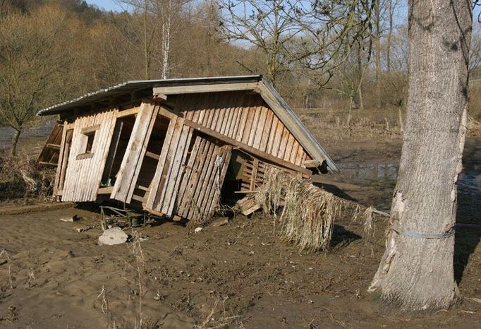 Ve stáji u starého mlýna ještě před rokem bývaly ovce. Majitel ji pohotově upoutal ke stromu řetězem, aby ji velká voda neodnesla.