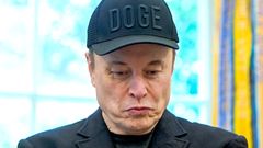 Trump Musk