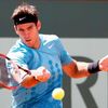 French Open: Del Potro - Karlovič