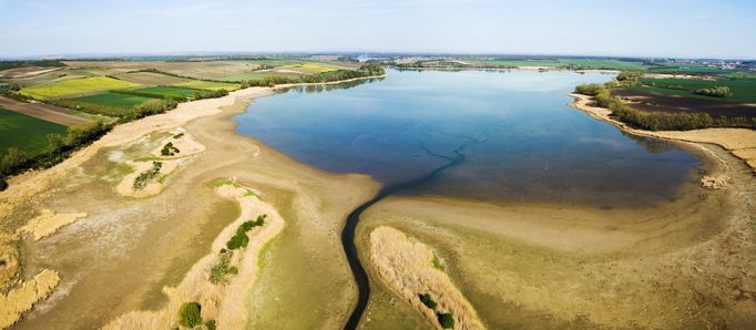 Ústí potoka Včelínek do rybníka Nesyt v době letnění. Národní přírodní rezervace Lednické rybníky. Rok 2020