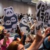 Hong Kong, Čína, panda, oslava, zoo