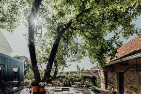 Ze zanedbaného farního dvorku gastronomický ráj. Jak jedna jabloň změnila Bořetice