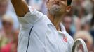 Novak Djokovič na Wimbledonu 2014