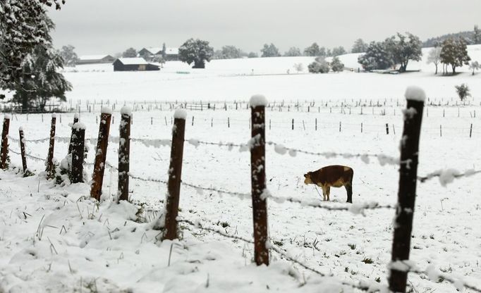 Jih Německa překvapil první sníh. (11. října 2013)