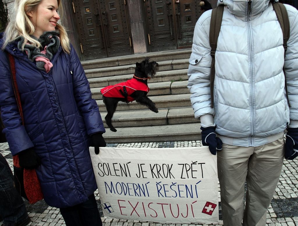 demonstrace proti solení chodníků