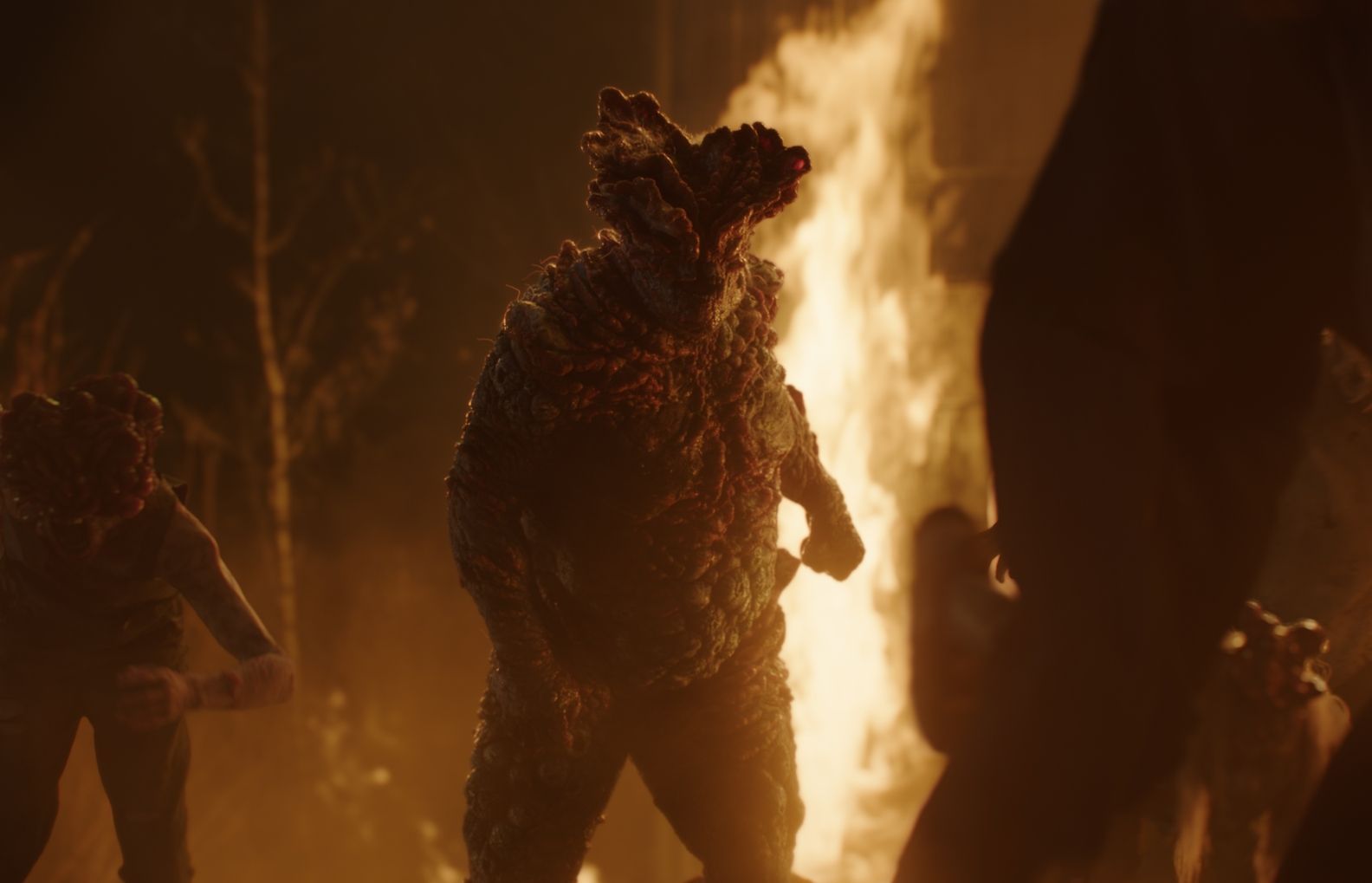 The Last of Us, HBO, 2023