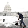 Sníh Capitol