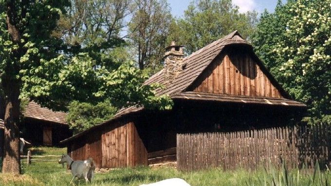 Největí česká kozí farma má vlastní mlékárnu. Nejvíce výrobků dodává do pražských obchodů, nyní je začala vyvážet i na Slovensko.