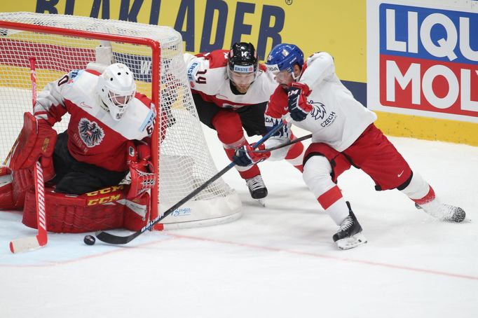 Lukas Herzog a Michal Řepík v zápase Česko - Rakousko na MS 2019