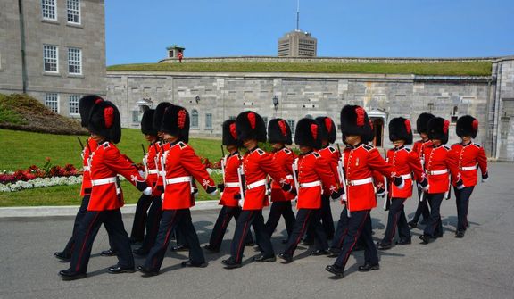 Kultovní čepice z pravé medvědí srsti, které nosí členové britské královské gardy střežící Buckinghamský palác v Londýně, jsou čím dál dražší.