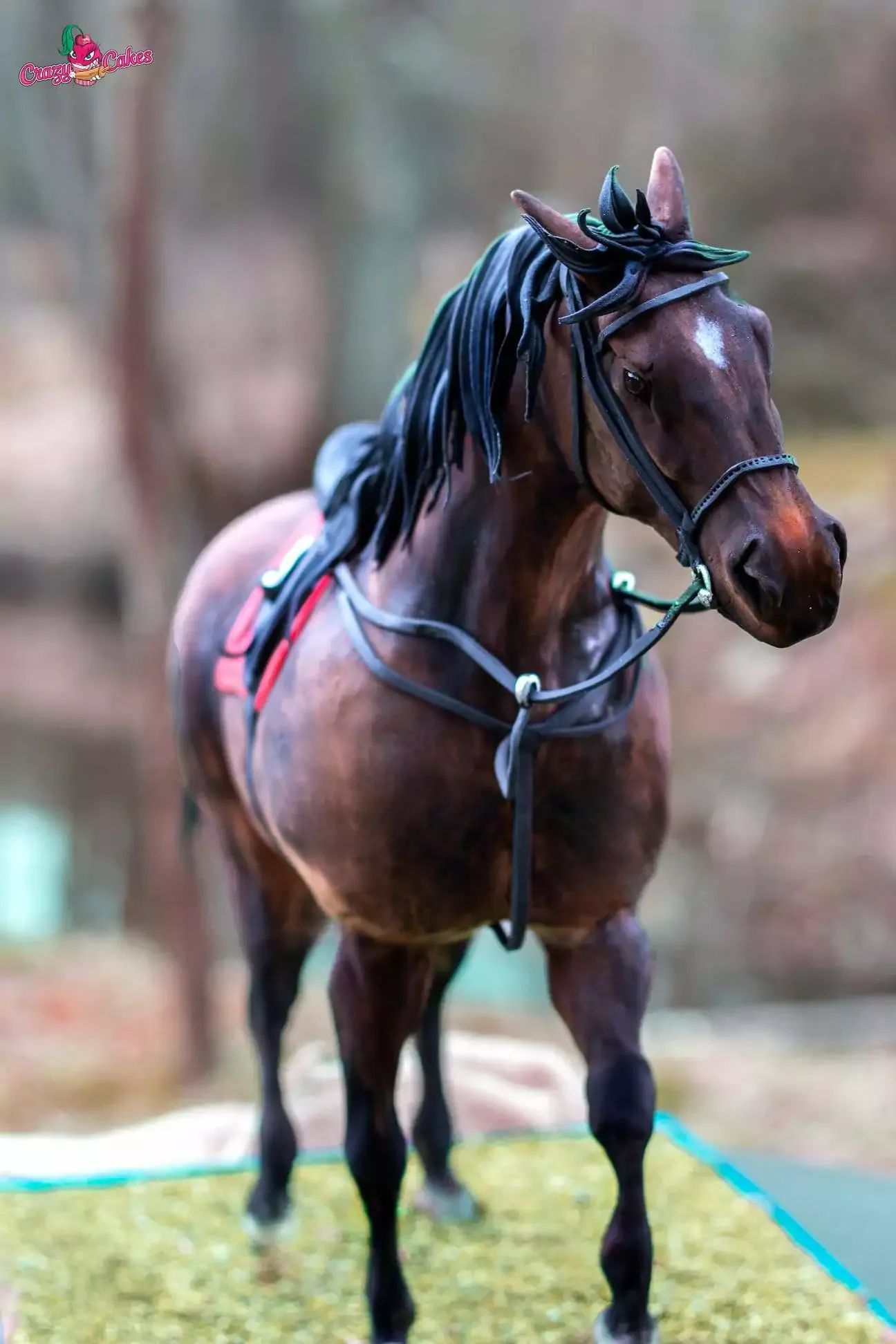 Cukrářka Lucie Charvátová