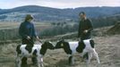 Foto Jan Regal: Agrokombinát Slušovice, 80. léta.