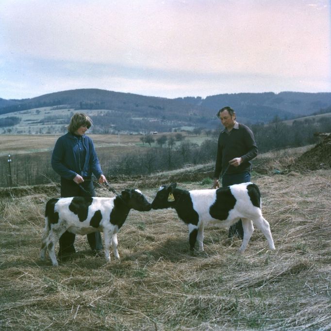 Foto Jan Regal: Agrokombinát Slušovice, 80. léta.