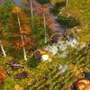 Age of Empires III: The WarChiefs