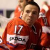 Trénink českého týmu na MS v hokeji 2013, Radim Vrbata