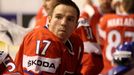 Trénink českého týmu na MS v hokeji 2013, Radim Vrbata