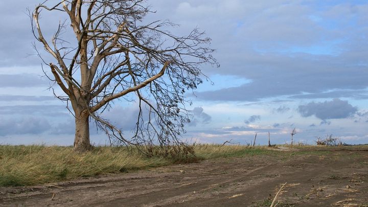 Na jižní Moravě se objevilo slabé tornádo, letos první v Česku. Škody nezpůsobilo; Zdroj foto: Nadace Partnerství
