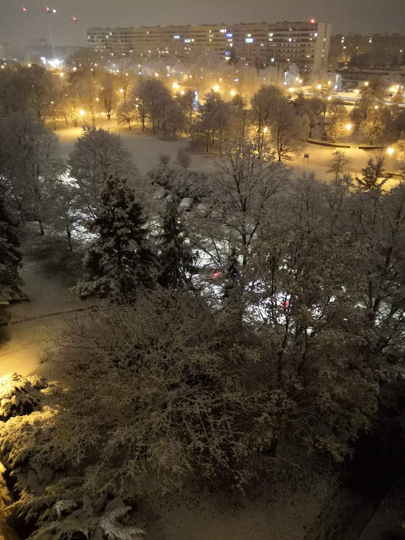 Zasněžené Česko očima čtenářů Aktuálně.cz
