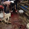 Foto: Muslimský svátek Íd al-adhá přinesl smrt nespočtu zvířat