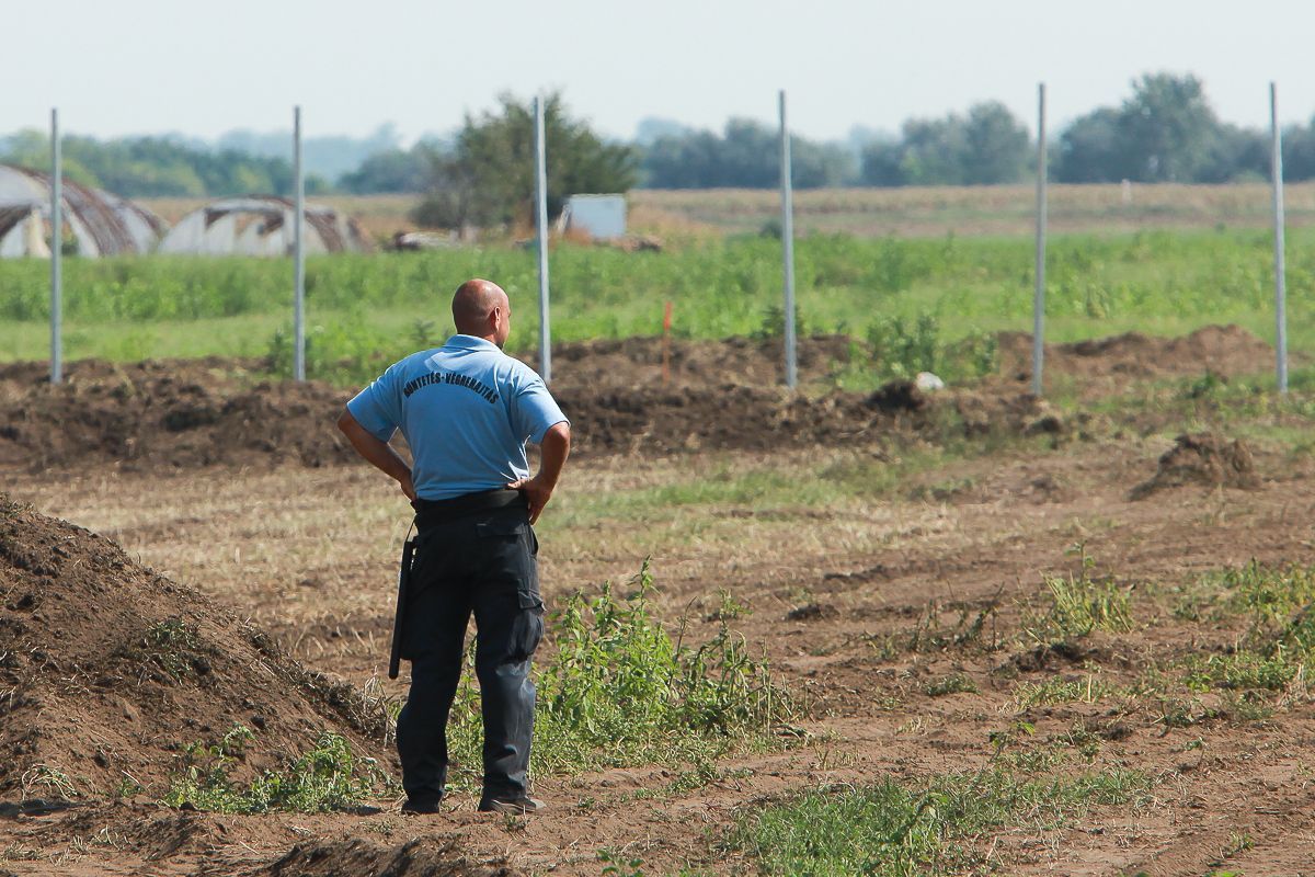 szeged a okolí - migranti
