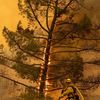 Fotogalerie / Lesní požár v Kalifornii / ČTK / 13