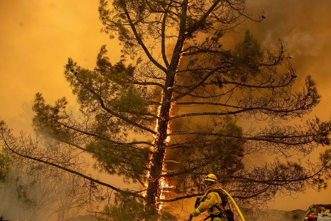 Lesní požár v Kalifornii v oblasti Calif v severní části Kalifornie. Červenec 2018.