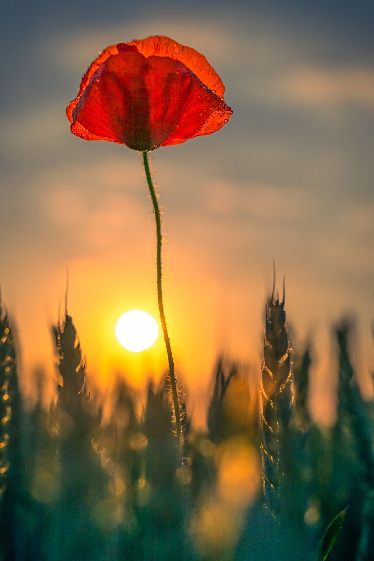 TOP FOTO 2021 - Richard Horák. Výroční fotogalerie nejlepších snímků roku