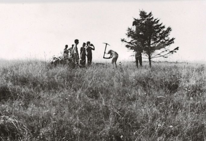Svatba, 1982, Českomoravská vrchovina. Happening spočíval v sezdání opuštěného smrku s mladou břízou. Havlík sezval přátele, kteří přesně nevěděli, čí svatby se zúčastní.