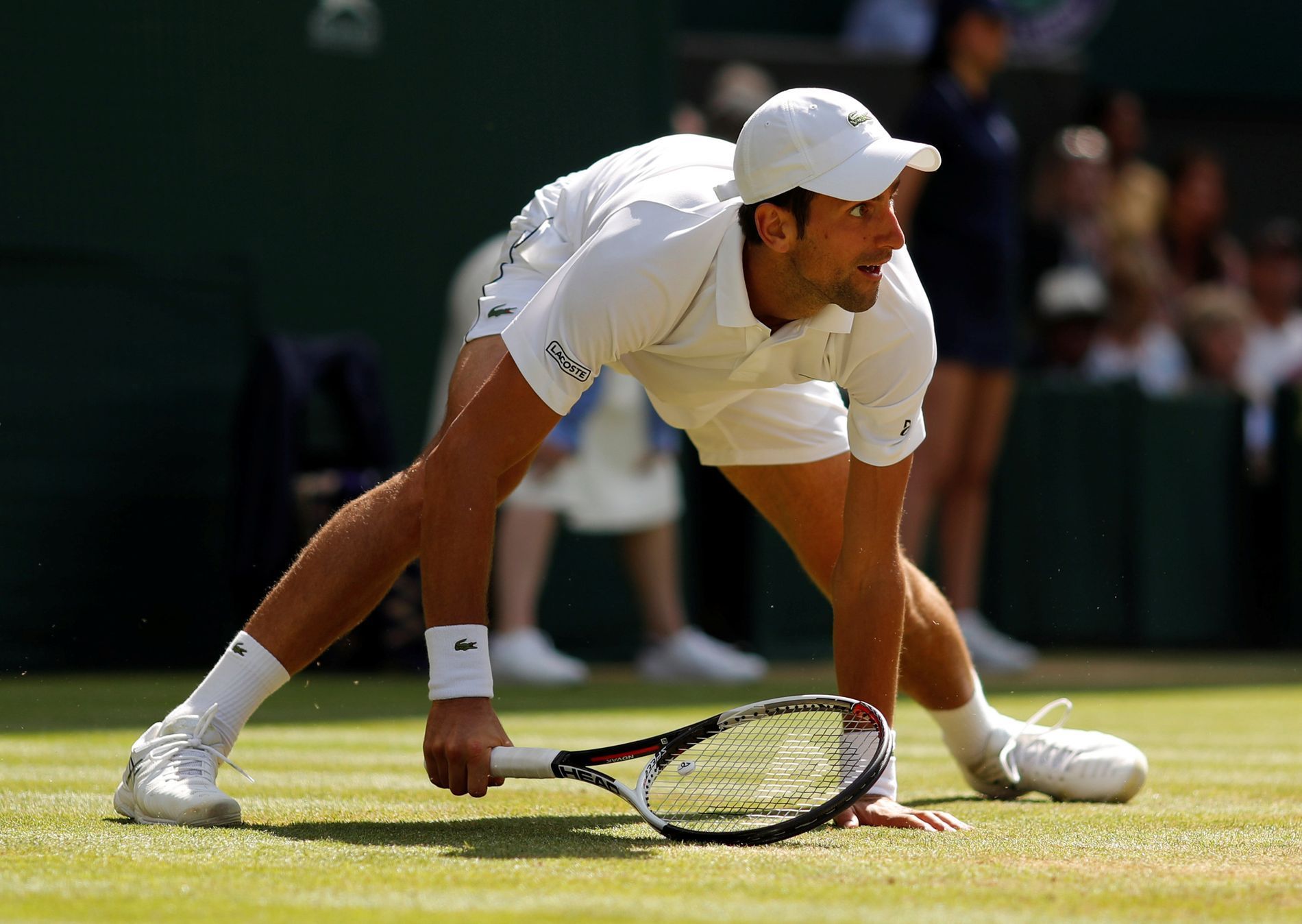 Novak Djokovič ve čtvrtfinále Wimbledonu 2018