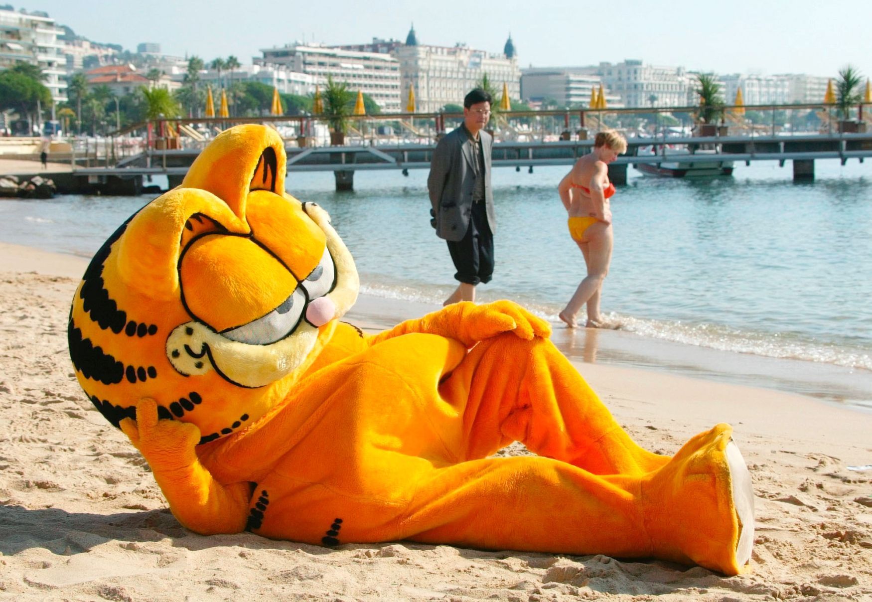 Garfield na pláži