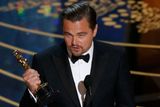 "Chci pogratulovat ostatním nominovaným, Zmrtvýchvstání bylo výsledkem obrovské námahy celého štábu a herců," poděkoval DiCaprio.