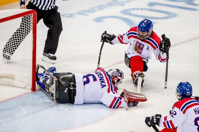 Čeští sledge hokejisté na paralympiádě v Pchjongčchangu