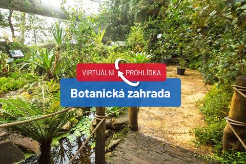Květiny v lahvích i tropický les ve skleníku. Virtuální prohlídka botanické zahrady