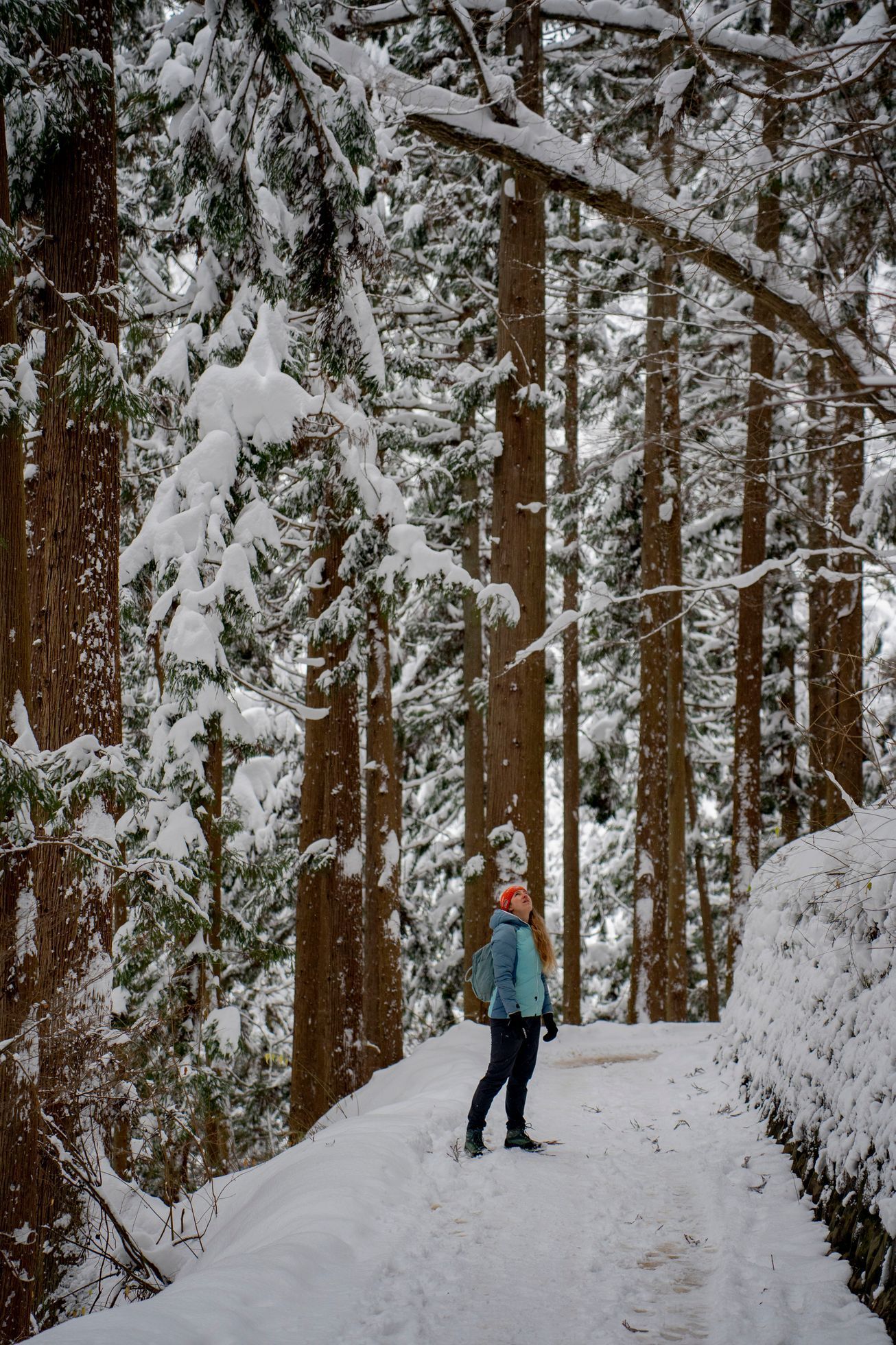 japonsko lyžování hakuba