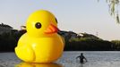 A labourer walks in water after setting up a scaled replica of the rubber duck, by Dutch conceptual artist Florentijn Hofman, on an artificial lake in Luoyang, Henan province June 12, 2013. Picture taken June 12, 2013. REUTERS/Stringer (CHINA - Tags: SOCIETY TPX IMAGES OF THE DAY) CHINA OUT. NO COMMERCIAL OR EDITORIAL SALES IN CHINA Published: Čer. 13, 2013, 9:12 dop.