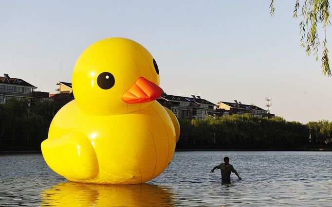 A labourer walks in water after setting up a scaled replica of the rubber duck, by Dutch conceptual artist Florentijn Hofman, on an artificial lake in Luoyang, Henan province June 12, 2013. Picture taken June 12, 2013. REUTERS/Stringer (CHINA - Tags: SOCIETY TPX IMAGES OF THE DAY) CHINA OUT. NO COMMERCIAL OR EDITORIAL SALES IN CHINA Published: Čer. 13, 2013, 9:12 dop.