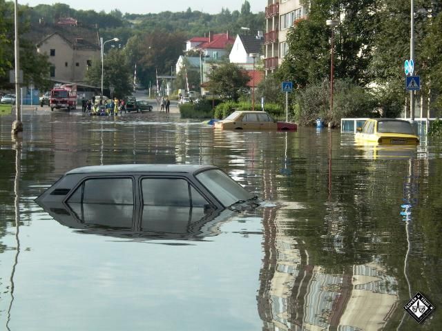 Člověk v tísni slaví