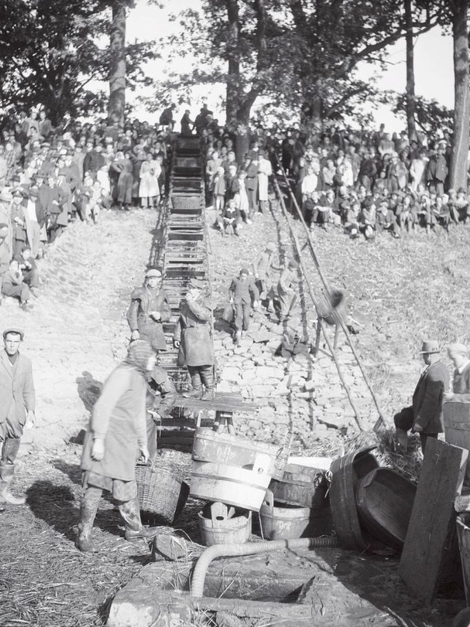 Transportér ryb na hrázi Rožmberka, 17. 10. 1949.