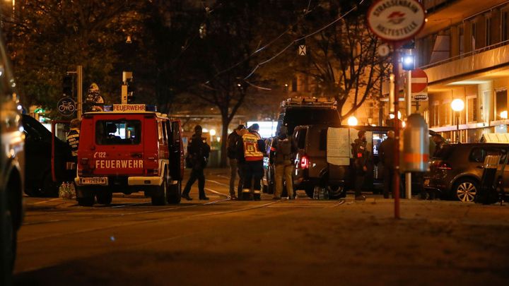 Před vídeňským teroristickým útokem se tajné služby dopustily chyb, říká vyšetřování