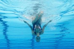 Akvabela Bernardová skončila na plaveckém MS jedenáctá