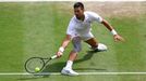 Novak Djokovič ve finále Wimbledonu